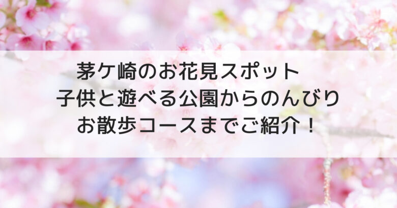 茅ケ崎のお花見スポット5選 子供と遊べる公園からのんびりお散歩コースまでご紹介 海とあそぶ