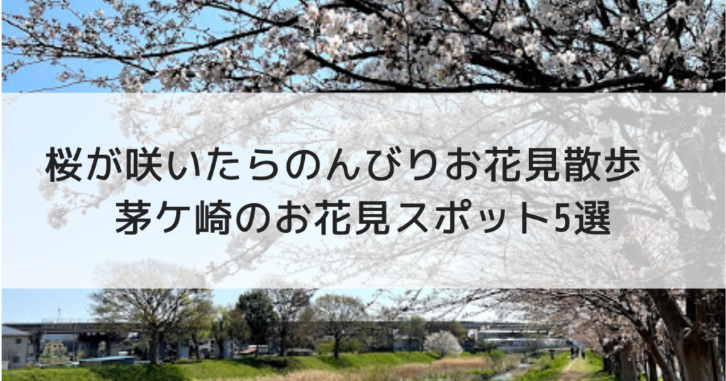 桜が咲いたらのんびりお花見散歩 茅ケ崎のお花見スポット5選 えりょのゆるりといこう