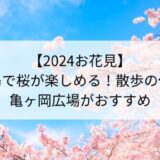 【2024お花見】江ノ島で河津桜やソメイヨシノ楽しめる亀ヶ岡広場が休憩におすすめ