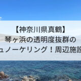 【神奈川県真鶴】琴ヶ浜でシュノーケリング！駐車場や周辺施設を解説