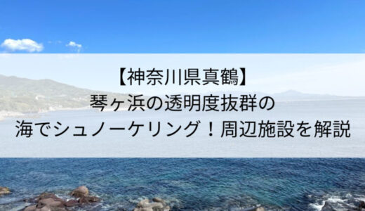 【神奈川県真鶴】琴ヶ浜でシュノーケリング！駐車場や周辺施設を解説