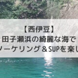 【2022年度版】西伊豆田子瀬浜の綺麗な海でシュノーケリング＆SUPを楽しむ！