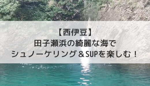 【2023年度版】西伊豆田子瀬浜の綺麗な海でシュノーケリング＆SUPを楽しむ！