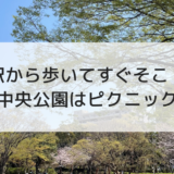 駅から歩いてすぐそこ！茅ケ崎中央公園はピクニックに最適