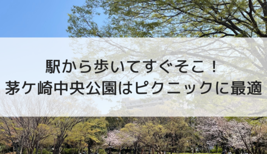駅から歩いてすぐそこ！茅ケ崎中央公園はピクニックに最適